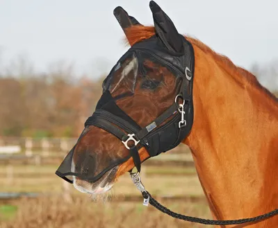 Produktbild von Busse Fliegenmaske FLY PROTECTOR schwarz, Busse_17_Groessen:Pony