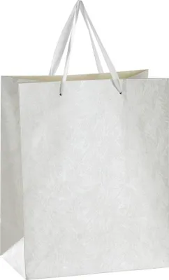 Produktbild von Eglo Geschenktasche 26 x 33 cm