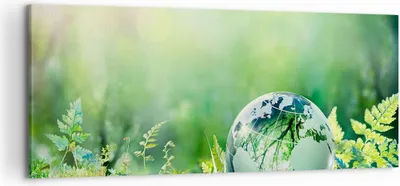 Produktbild von Bild auf Leinwand - Leinwandbild - natur natur - 120x50cm - Wand Bild - Wanddeko - Wandbilder - Leinwanddruck - Bilder - Kunstdruck - Wanddekoration - Leinwand bilder - Wandkunst - AB120x50-4041