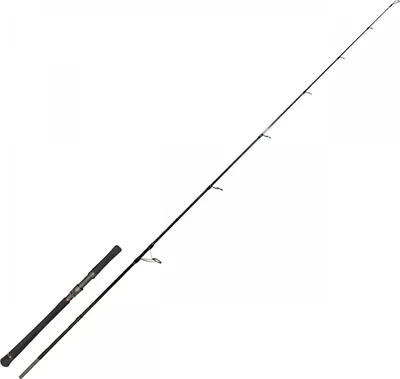 Produktbild von Zeck Evo Cat Wallerruten (Evo Cat Spin)