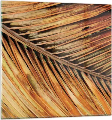 Produktbild von Bilder auf glas - Einteilig - Orange Blatt Tropisch - 30x30cm - Glasbilder - Wandbilder - Bilder - zum Aufhängen bereit - Wanddekoration aus Glas - Glas Bilder - Wandbild auf Glas - GAC30x30-4876