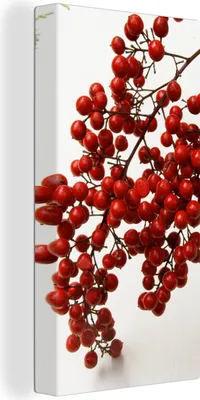 Produktbild von MuchoWow® - Leinwandbilder - Beeren - Stilleben - Rot, Wandbild, Wanddeko Bilder Wohnzimmer, 40x80 cm