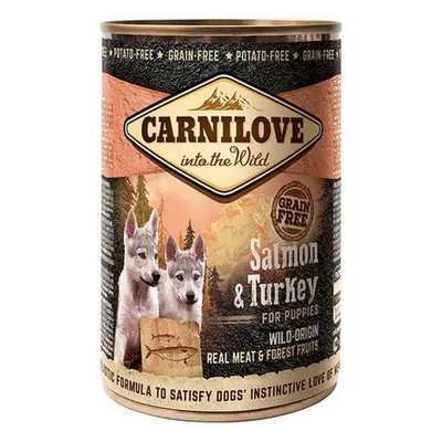 Produktbild von CARNILOVE Into the Wild Salmon & Turkey for Puppies - Nassfutter für Hunde - 400g