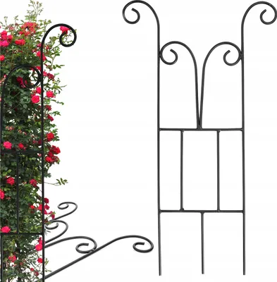 Zdjęcie produktu dla Podpora Do Roslin Pnacych Czarna Lakierowana 60 Cm
