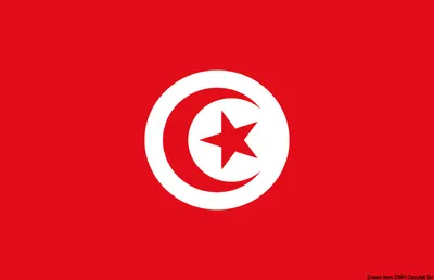 Produktbild von Flagge Tunisia 30 x 45 cm Osculati 35.438.02