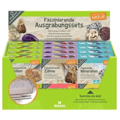 Produktbild von Mini-Ausgrabungsset Expedition Natur, sortiert, 1 von 6 Themen, ab 6 Jahren