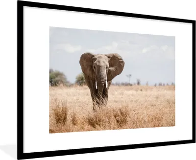 Produktbild von MuchoWow® MuchoWow® Gerahmtes Poster Elefant - Natur - Tiere - Porträt 90x60 cm - Poster mit zchwarzem Bilderrahmen - Wanddekoration - Fotos