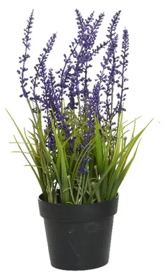 Produktbild von Everlands Lavendel - Kunstpflanze im Topf - lila - 15 x 30 cm