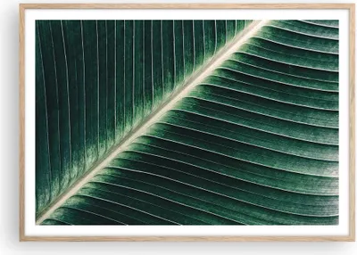 Produktbild von Gerahmtes Poster - Rahmen in heller Eiche - Grün Blatt Tropisch - 100x70 cm - Wand Bild - Wanddeko - Wandbilder - Wandposter - Bilderrahmen - Bilder - Kunstdruck - Wandbild - P2NAA100x70-4126