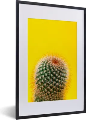 Produktbild von MuchoWow® MuchoWow® Gerahmtes Poster Kaktus mit rot 40x60 cm - Poster mit zchwarzem Bilderrahmen - Poster in Rahmen