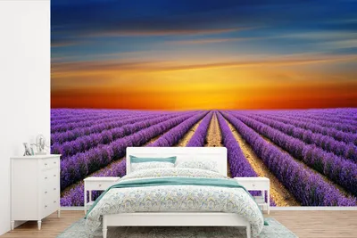 Produktbild von MuchoWow® Fototapete für Wohnzimmer oder Schlafzimmer Wandtapete Vinyl Motivtapete Ein großes Lavendelfeld mit einem farbenfrohen Himmel - 390x260 cm - Papiertapete