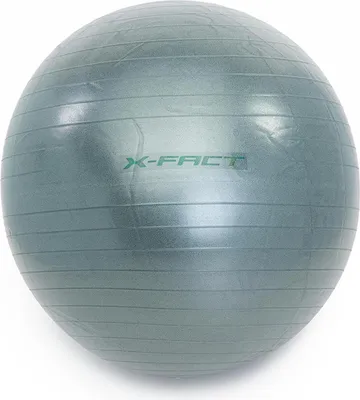 Produktbild von Worqout Gymnastikball 75 cm 675553