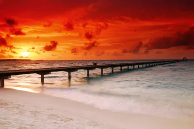 Produktbild von Fototapete - Jetty in Sunset 375x250cm - Vliestapete