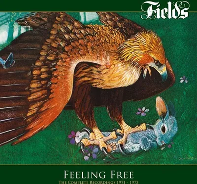 Image de Feeling Free - The Complete Recordings 1971-1973