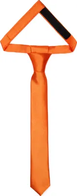 Image de Enfants pour garçons - Look élégant et brillant TKS 31cm x 4cm