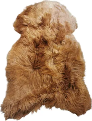 Produktbild von TOP Schaffell | 140cm | Echtes Lammfell |Teppich Deko | Ginger / Gold-Braun | Sitzauflage.Größe:110cm - 120cm,Haar-Länge:Plüschig 5-10cm