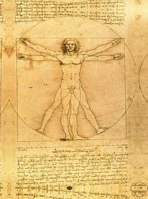 Produktbild von Legendarte - Kunstdruck auf Leinwand - Proportionsschema der menschlichen Gestalt nach Vitruv Leonardo da Vinci - Wanddeko, Canvas cm. 60x90