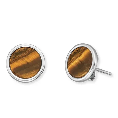 Produktbild von Engelsrufer Ohrstecker Powerful Stone ERE-TE-ST mit Tigerauge Silber