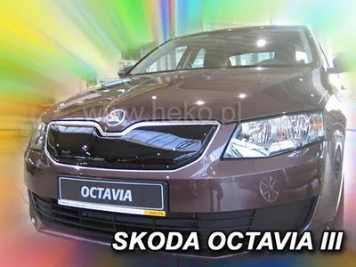 Image de Grille de radiateur hiver Skoda Octavia III 2013-2017