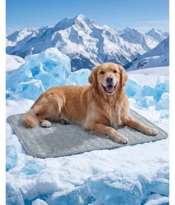 Obrázok produktu pre Podložka pre psa, umývateľná, 100 x 70 cm, sivá