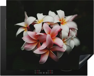 Produktbild von KitchenYeah© Herdabdeckplatte Blumen - Rosa - Schwarz - Flora - Botanisch , 65x52cm, Küche Deko, Glaskeramikkochfeld Herdabdeckung, Abdeckplatte fùr Kochfeld
