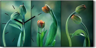 Produktbild von Wandkunst Leinwand Bild Uhr Geräuschlos 60x30 Gemälde Blumen Pflanzen Tulpen - schwarze Hände
