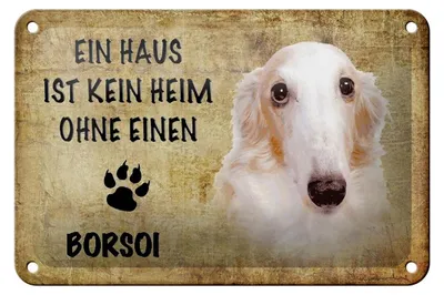 Produktbild von Blechschild Spruch 18x12cm Borsoi Hund ohne kein Heim