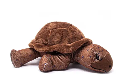 Produktbild von Wild Republic - Kuscheltier - Cuddlekins - Schildkröte