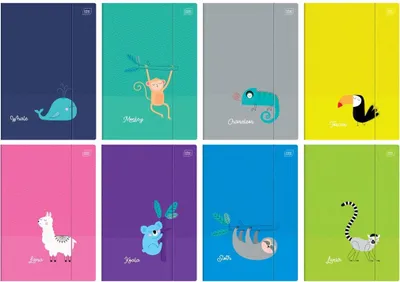 Zdjęcie produktu dla Teczka elastyczna Interdruk A4+ BeBe Kids Tropic 1 szt