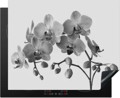 Produktbild von KitchenYeah© Herdabdeckplatte Orchideen auf grauem Hintergrund - schwarz und weiß , 65x52cm, Küche Deko, Glaskeramikkochfeld Herdabdeckung, Abdeckplatte fùr Kochfeld
