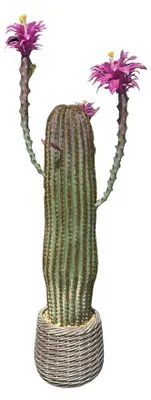 Immagine prodotto di Cactus artificiale in vaso - Pianta da terra grande 109 cm - Succulenta realistica - Decorazione per casa/ufficio (interni) - Plastica - Verde