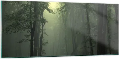 Produktbild von Bilder auf glas - Wald Nebel Baum - 120x50cm - Glasbilder - Wandbilder - Kunstdruck - zum Aufhängen bereit - Wanddekoration aus Glas - Glas Bilder - Wandbild auf Glas - Einteilig - GAB120x50-3543
