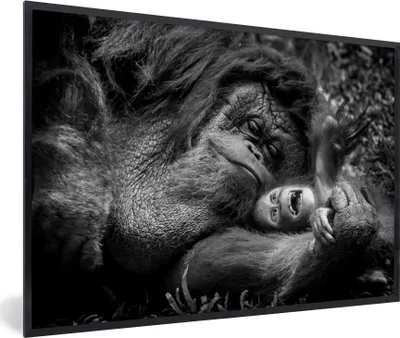 Produktbild von MuchoWow® MuchoWow® Gerahmtes Poster Liebender Orang-Utan mit Jungtier in Schwarz und Weiß 60x40 cm - Poster mit zchwarzem Bilderrahmen - Printing - Wanddeko Schlafzimmer