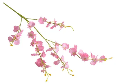 Produktbild von 39 Zoll große künstliche Phalaenopsis-Blüten, 5 Stiele, künstliche Orchideenpflanzen für Vase, Brautparty, Heimparty, Hochzeitsdekoration