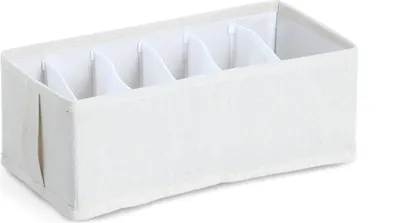 Obrázok produktu pre Organizér na bielizeň NOMAD s priehradkami, 30 x 15 x 11 cm