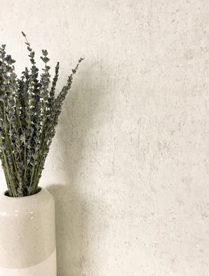 Produktbild von NEWROOM Tapete Dunya Creme Vliestapete - Modern Beton Unifarbe  Germany