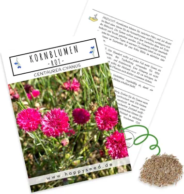 Produktbild von Kornblumen Samen (Centaurea cyanus) - Wunderschön leuchtende Blumen mit langer Blütezeit für eine bunte Blumenwiese (Rot, 1000 Korn, 80 cm)