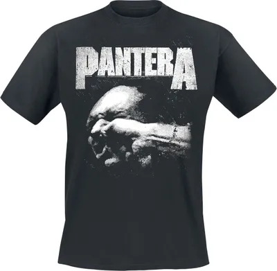Produktbild von Pantera T-Shirt Herren Double Vulgar schwarz Band-Merch, Bands 100% Baumwolle L