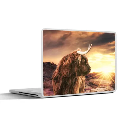 Produktbild von MuchoWow® Laptop Aufkleber Sticker Cover Schottischer Hochländer - Sonne - Horizont - Kuh - Tiere 25x18 cm - Laptop-Deko