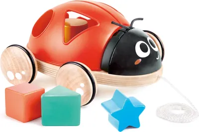 Produktbild von Hape Ladybug, 1 Jahr(e), Gummi, Holz, Schwarz, Rot, Weiß, Holz