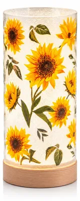Produktbild von formano LED Deko Licht Sonnenblumen Stimmungslicht Glaszylinder 20 cm Holzsockel