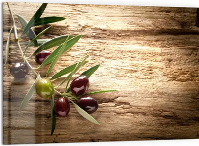 Produktbild von DEQORI Küchenrückwand Glas 60x40 cm 'Dekorativer Olivenzweig' Spritzschutz Bad Rückwand