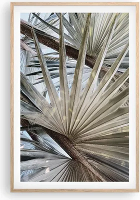 Produktbild von Gerahmtes Poster - Rahmen in heller Eiche - Blatt Palme Natur - 61x91,5 cm - Wand Bild - Wanddeko - Wandbilder - Kunstposter - Wandposter - Bilderrahmen - Bilder - Kunstdruck - P2NPA61x91-5056
