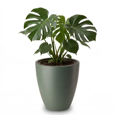 Produktbild von Großer Outdoor Blumentopf CALMO salbei-grün in 29 x 32 cm
