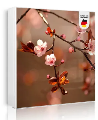 Zdjęcie produktu dla banjado metalowa szafka na klucze, duża 30x30 cm z 32 haczykami, może służyć jako tablica magnetyczna, biały korpus, zawias po prawej stronie, Blühender Kirschzweig [SKGW1 12287]