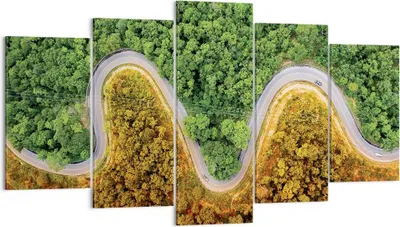 Produktbild von Bild auf Leinwand - Leinwandbild - 5 Teile - Luftaufnahmen Weg Wald - 160x85cm - Wand Bild - Wanddeko - Wandbilder - Leinwanddruck - Bilder - Wanddekoration - Leinwand bilder - EA160x85-4659