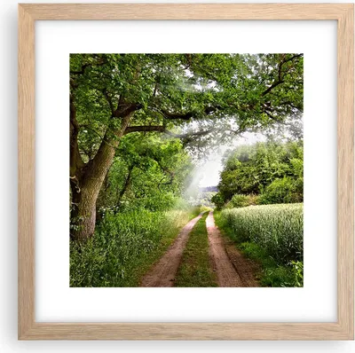 Produktbild von Gerahmtes Poster - Rahmen in heller Eiche - Pfad Natur Wald Grün - 30x30 cm - Wand Bild - Wanddeko - Wandbilder - Wandposter - Bilderrahmen - Bilder - Kunstdruck - Wandbild - P2NAC30x30-2637