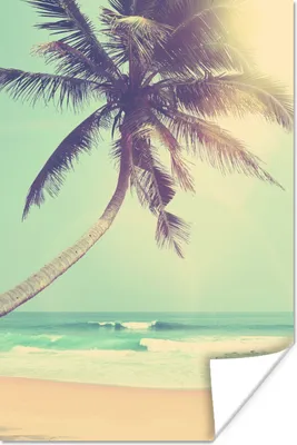 Produktbild von MuchoWow® Poster Retro - Palme - Sonne - Sommer 120x180 cm - Kunstposter