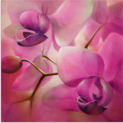 Produktbild von ARTland Wandbild Alu für Innen & Outdoor Orchideen pink Größe: 100x100 cm