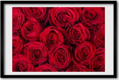 Produktbild von Bild 60x40 MDF-Rahmen, Wandkunst Rosen